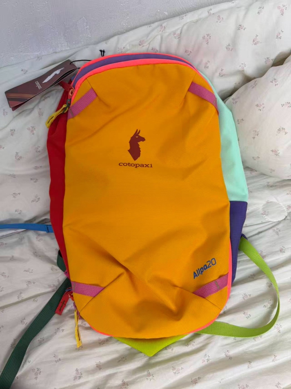 Cotopaxi Allpa 20 Multicolor Women's Daypack